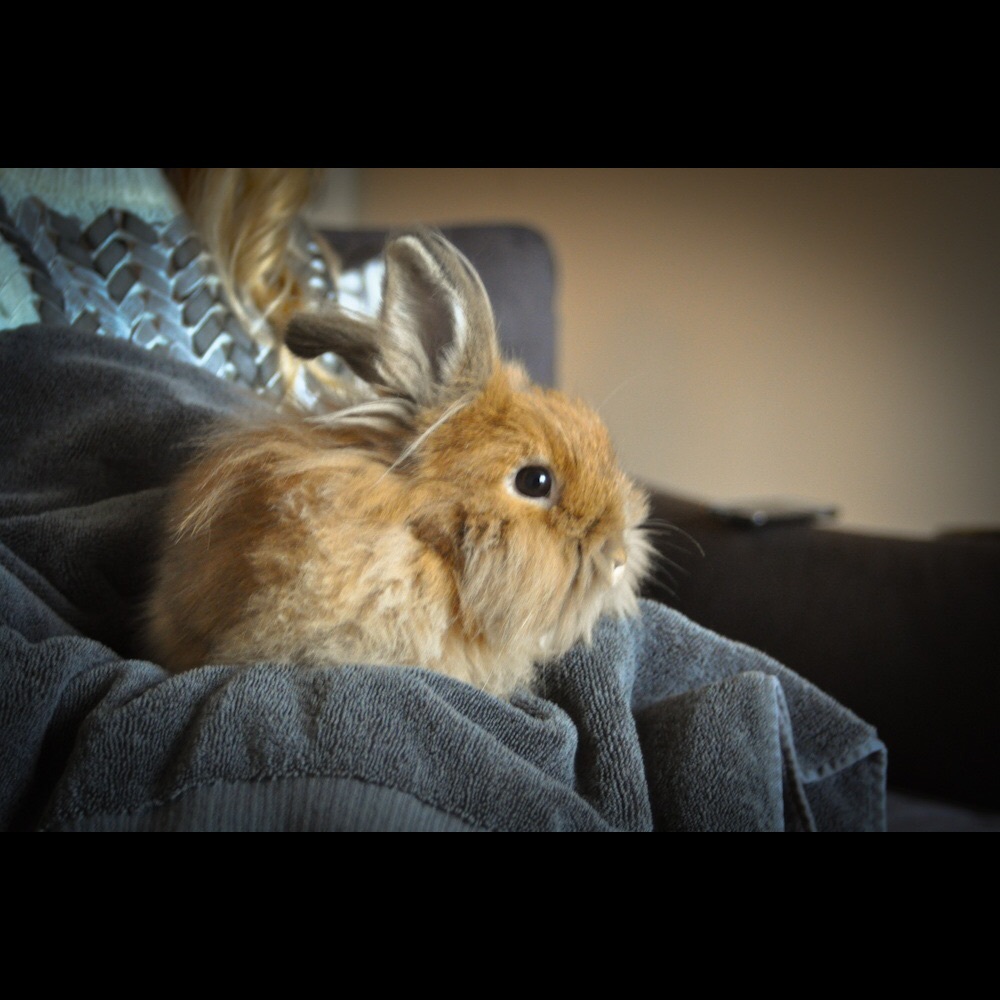 🚨NEGOTIABLE🚨                                             ACCEPTING ALL